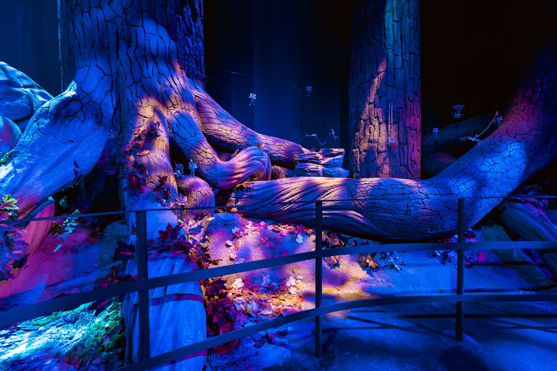 Harry Potter: Forbidden Forest