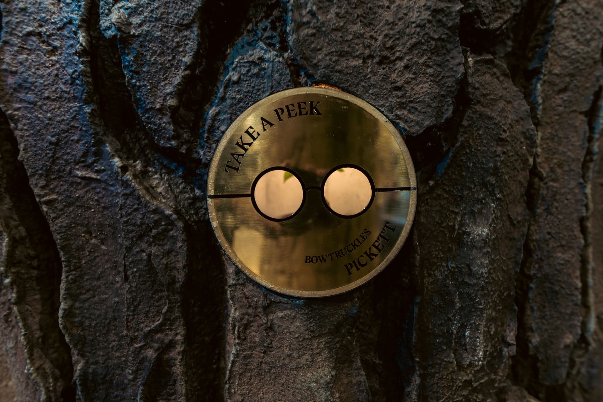 Harry Potter: Forbidden Forest
