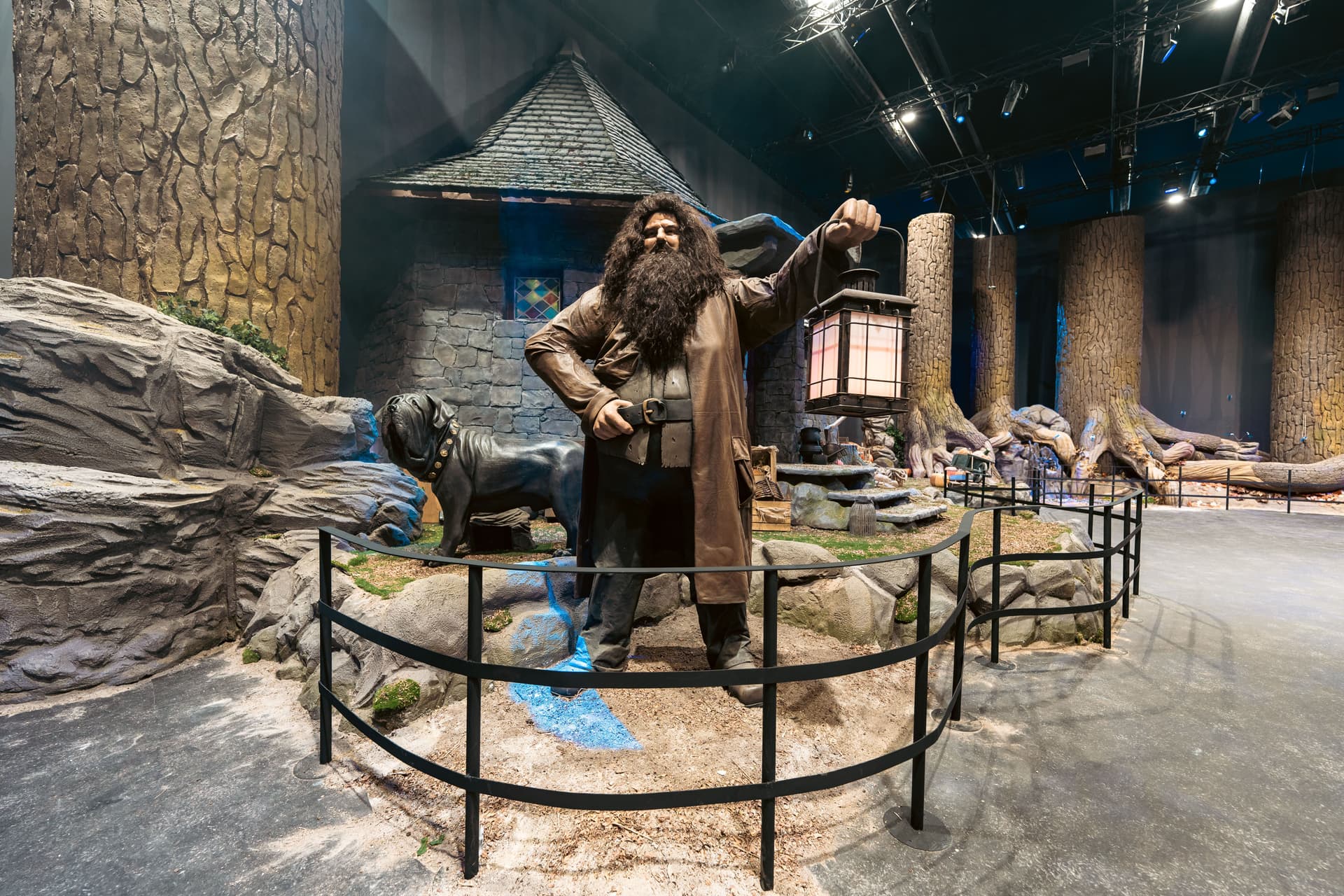 Harry Potter: Forbidden Forest