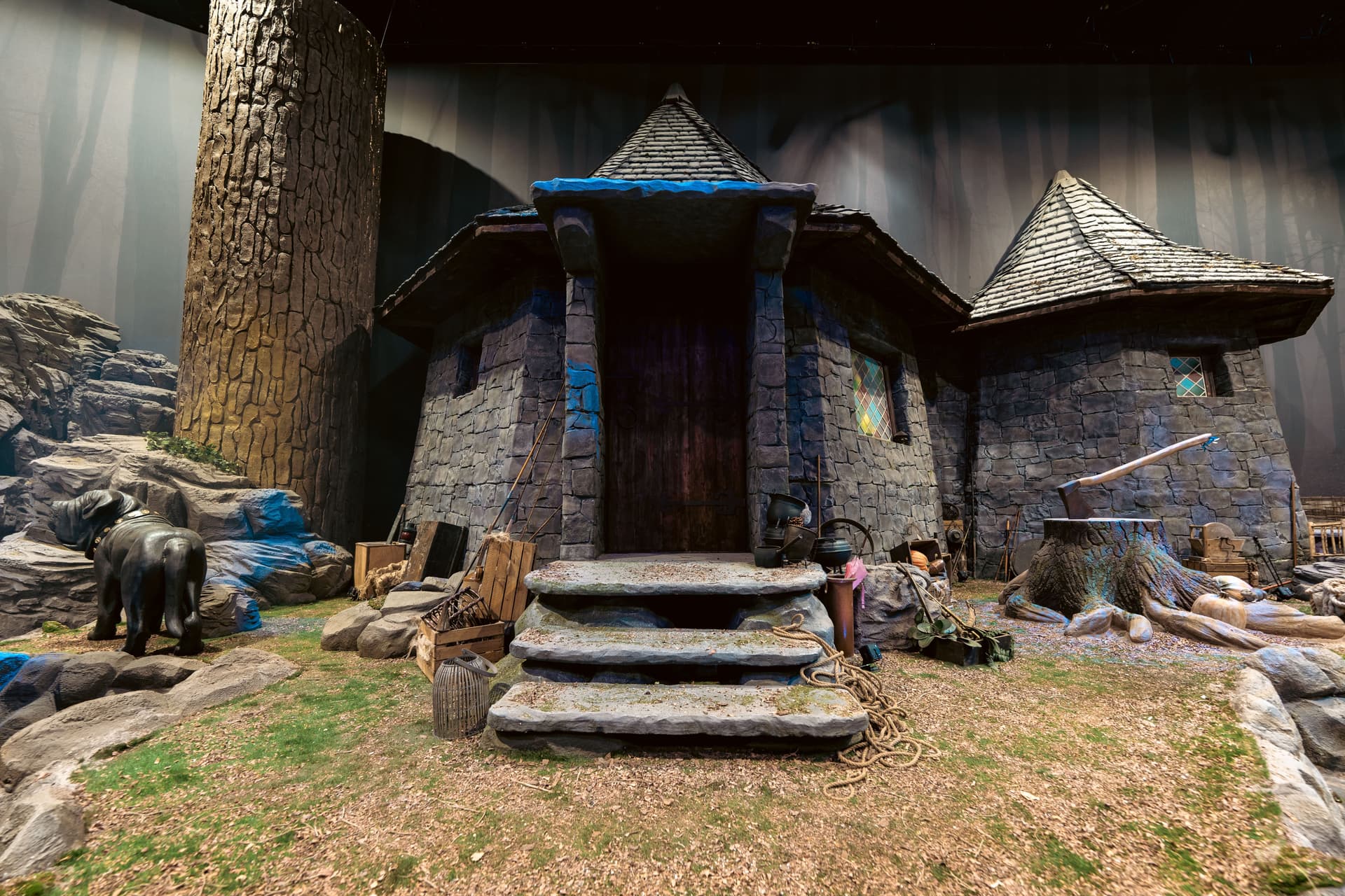 Harry Potter: Forbidden Forest