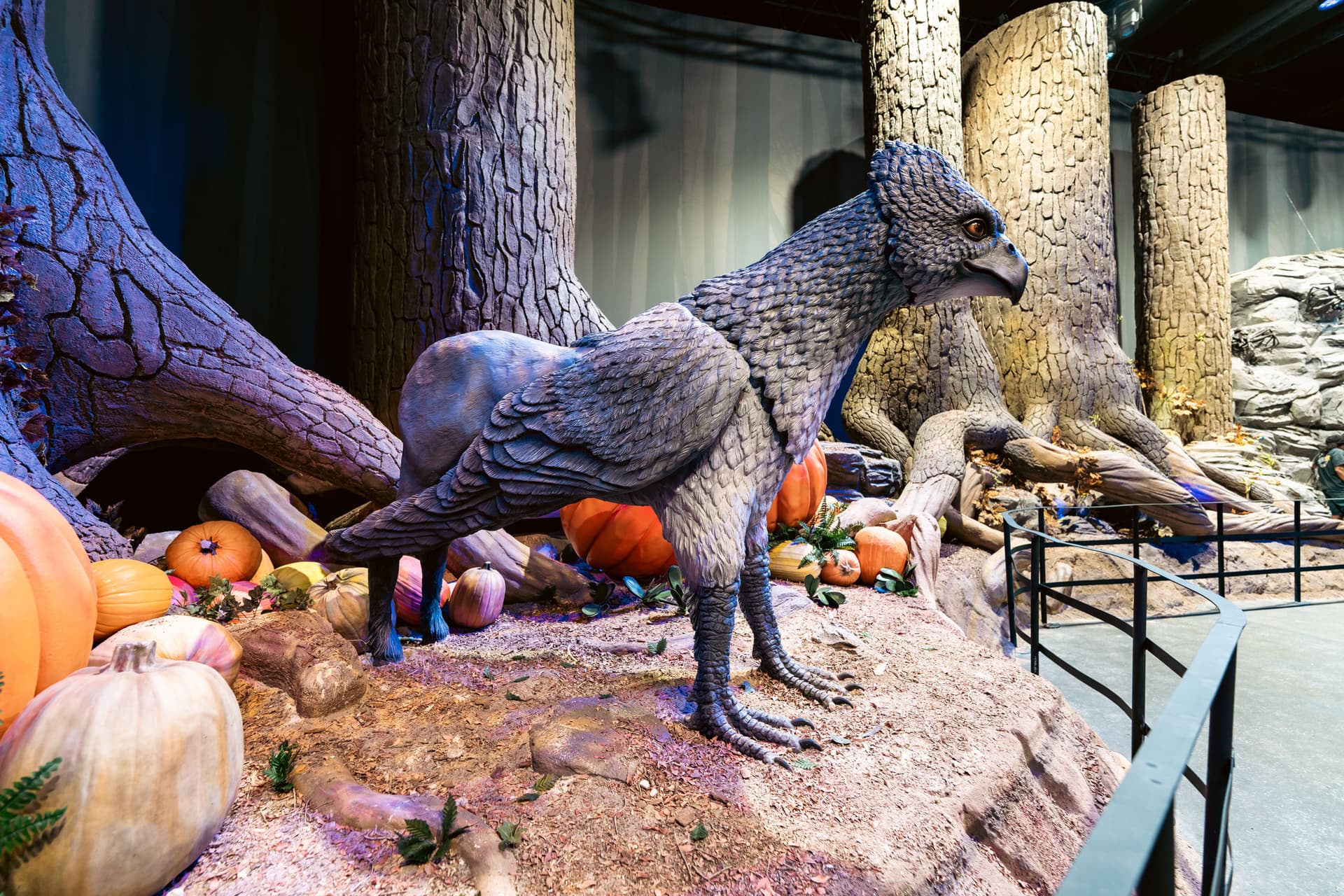 Harry Potter: Forbidden Forest