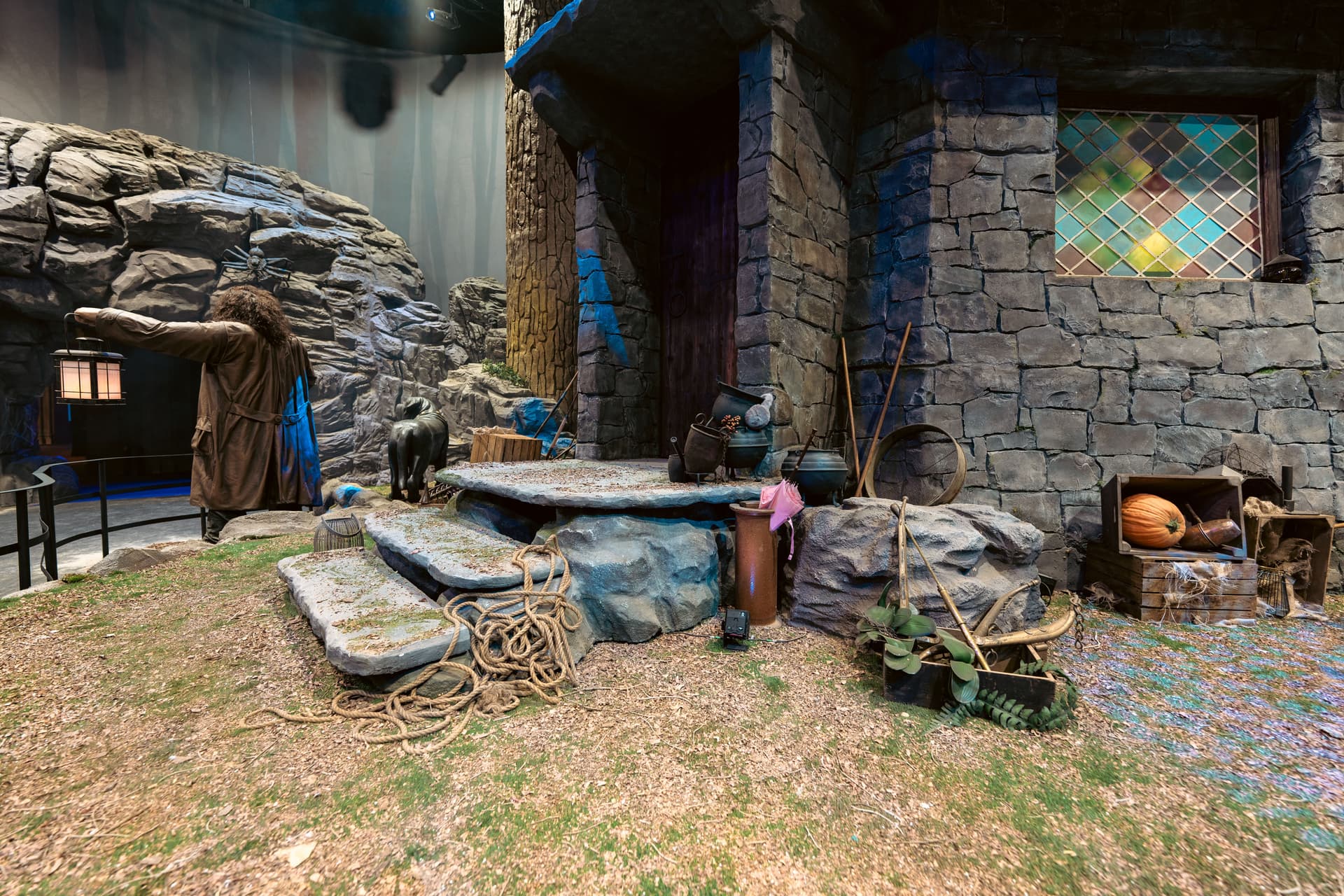 Harry Potter: Forbidden Forest