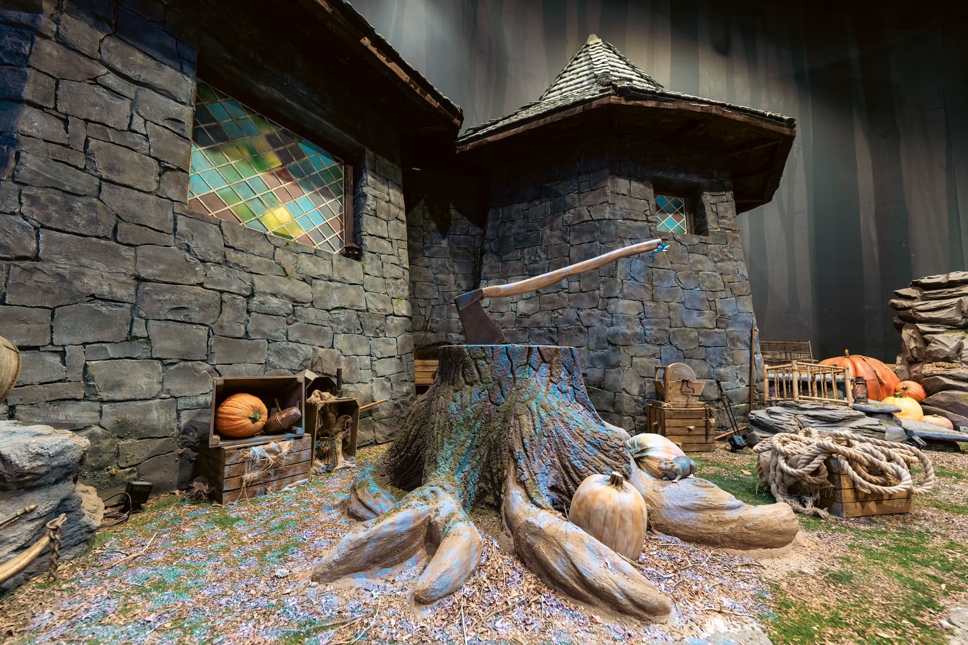 Harry Potter: Forbidden Forest